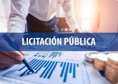 Licitacion Publica